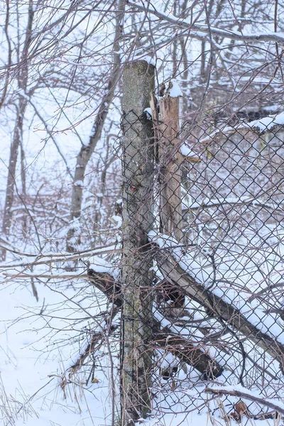 Dikenli telleri olan gri beton bir sütundan yapılmış eski bir çitin parçası. Ve kış sokağında beyaz bir kardaki metal ağ.