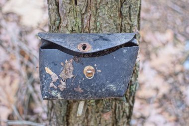 Sokakta gri bir ağaçta asılı eski siyah deri bir bisiklet eldiveni kutusu.