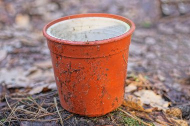 Kirli kırmızı plastik bir saksı sokağın gri zemininde duruyor.