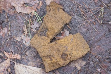 Eski, kirli, kahverengi bir köpük parçası. Plastik bir bez parçası. Sokakta, gri zeminde yatıyor.