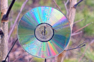 Caddedeki ince bir ağaç dalında asılı kirli renkli bir disk.
