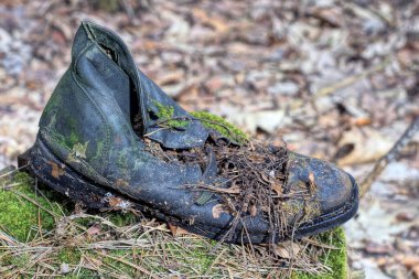 Eski bir siyah yırtık deri bot, sokakta gri bir kütükte duruyor.