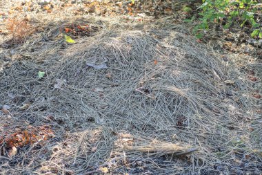 one haystack of gray dry grass on the ground outside clipart