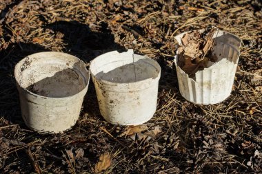 Üç beyaz, eski, kirli plastik saksı dışarıda, yerde duruyor.