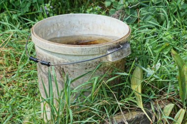 Dışarıdaki yeşil çimlerin üzerinde duran büyük beyaz plastik bir kova.