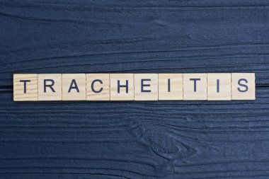 Siyah bir masanın üzerindeki küçük ahşap harflerden gelen gri kelime trakeit.