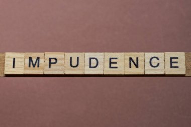 Kahverengi arka planda tahta kare harflerden yapılmış gri kelime saygısızlığı