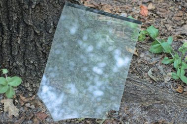 one piece of gray old broken window glass stands on the ground near a tree in nature in a summer forest clipart