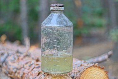 Bir mavi plastik eski kirli ayakkabı tabanı bir yaz sokağında bir kütükte yatıyor.