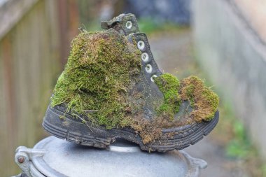 Yeşil yosunlarla kaplanmış siyah eski bir deri bot yaz caddesinde gri bir masada duruyor.