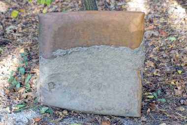 Eski kahverengi deri koltuklardan biri yaz sokağında yerde bir ağacın yanında duruyor.