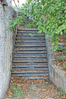 Eski bir merdivenin parçası, beton duvarın yanında gri taş basamakları olan yeşil bitki örtüsü olan bir yaz kenti sokağı.