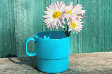 Beyaz buket papatya tomurcukları mavi plastik bir bardakta gri tahta bir tahtanın üzerinde yaz sokağındaki yeşil duvarın yanında