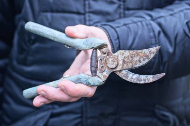 Bir bahçıvanın eli, siyah elbiselerin arka planında gri paslı bir budama makinesini tutuyor.