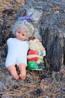 İki eski oyuncak bebek bir yaz caddesinde gri bir kütüğün yanında yatıyor.