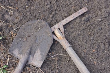 Bahar bahçesinde yerde yatan gri kirli metal kürek ve kahverengi eski demir tırmık.