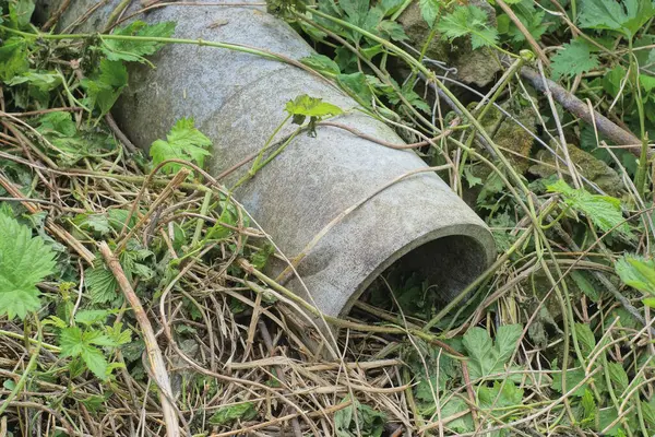 Bir gri beton kanalizasyon borusu yerde ve kuru yeşil bitki örtüsü sokakta.