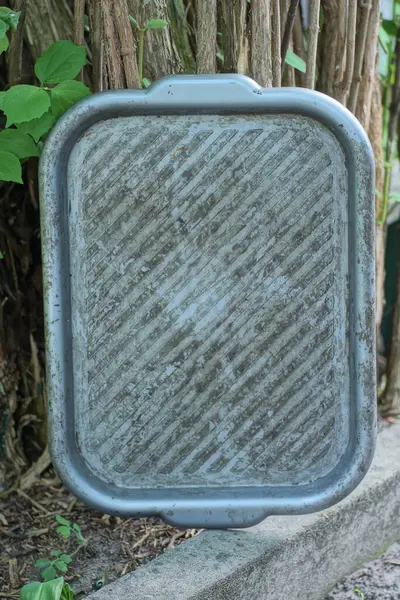 Büyük, kirli, boş bir plastik tepsi bir yaz sokağındaki çalılığın kahverengi dallarının yanında duruyor.