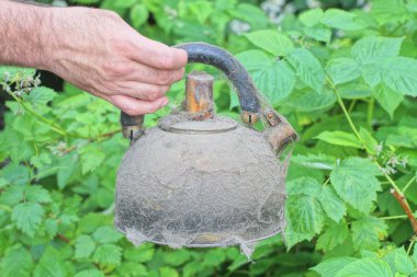 El, yaz caddesinde yeşil bitki örtüsüne karşı eski, kirli bir metal çaydanlık tutuyor.
