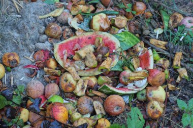 Çiğ yeşil parçalardaki çöpler karpuz kabukları ve çürük elmalar sokaktaki çimlerde ve bitkilerde yatıyor.