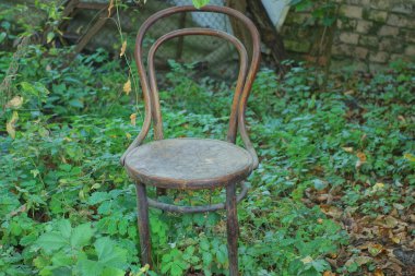 Eski kahverengi ahşap bir sandalye dışarıda duruyor yaz bahçesindeki yeşil bitki örtüsünde.