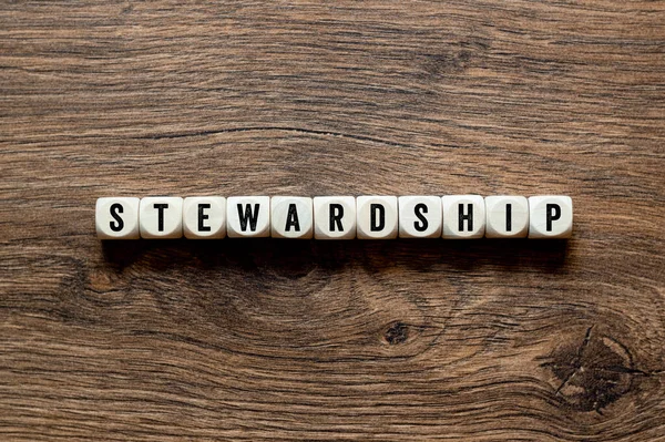 Stewardship Conceito Palavra Blocos Construção Texto Letras — Fotografia de Stock
