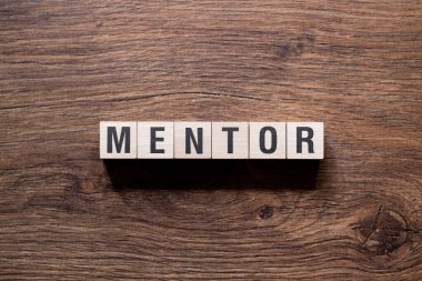 Akıl hocası - yapı taşları, metin, harfler üzerine kelime kavramı