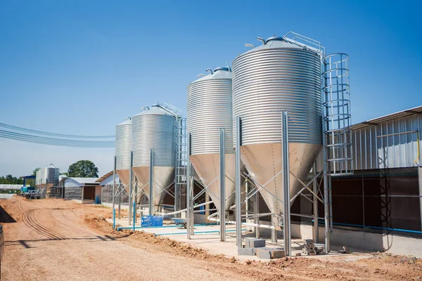 Commercial chicken farm Grain storage silo in a poultry farm under blue sky