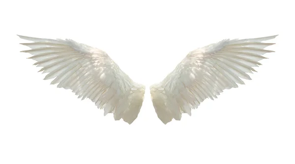Φτερά Των Αγγέλων Απομονώνονται Λευκό Φόντο Τμήμα Αποκοπής — Φωτογραφία Αρχείου