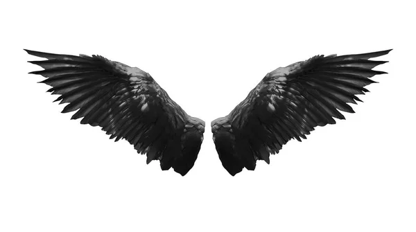 Angel Wings Isolerade Vit Bakgrund Med Klippning Del Royaltyfria Stockfoton