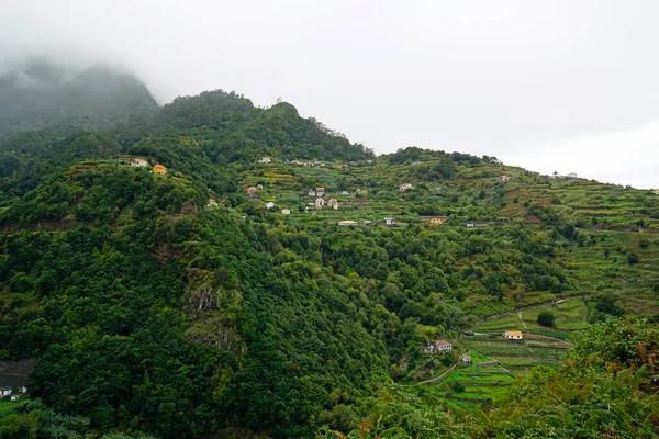 真平島の緑の山の霧 — ストック写真