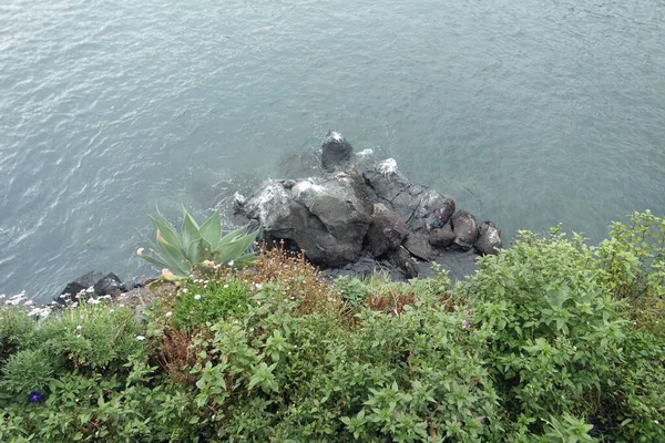 Malerischer Küstenblick Auf Die Insel Mediera Einem Nebligen Tag — Stockfoto