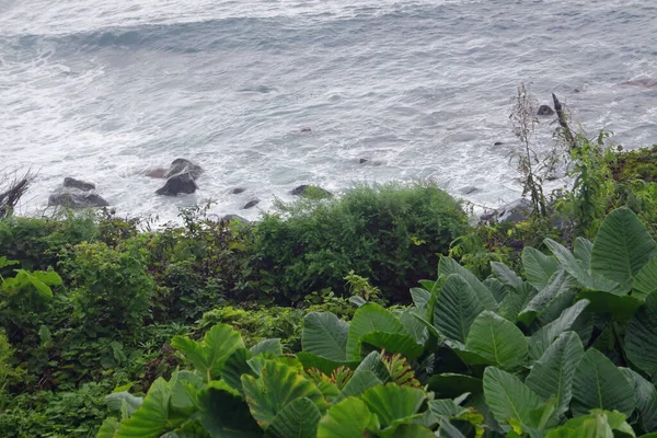 Malerischer Küstenblick Auf Die Insel Mediera Einem Nebligen Tag — Stockfoto