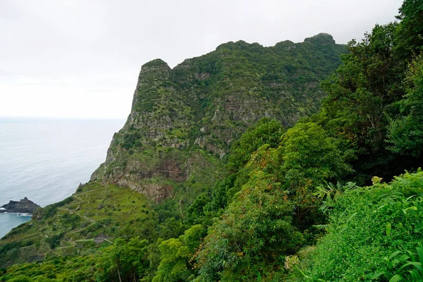 マデイラ島観光地の緑の山 — ストック写真