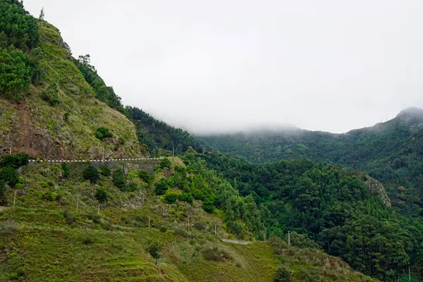 Paesaggio Verde Montagne Sull Isola Madeira — Foto Stock