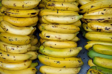 Funchal 'daki ünlü çiftçi pazarında taze meyve.