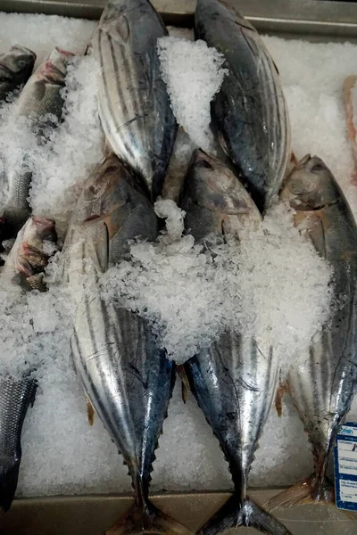Frischer Fisch Vom Traditionellen Markt Funchal Madeira — Stockfoto
