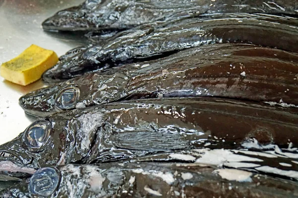 stock image fresh fish from the traditional market in funchal, madeira