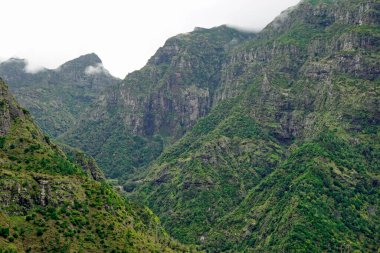Turizm beldesi madeira adasında yeşil dağlar