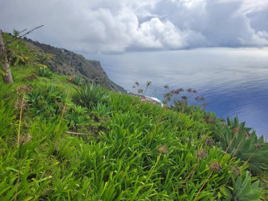 Madeira adasının sahili manzaralı.