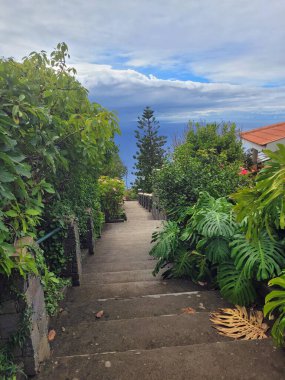 Madeira adasının sahili manzaralı.