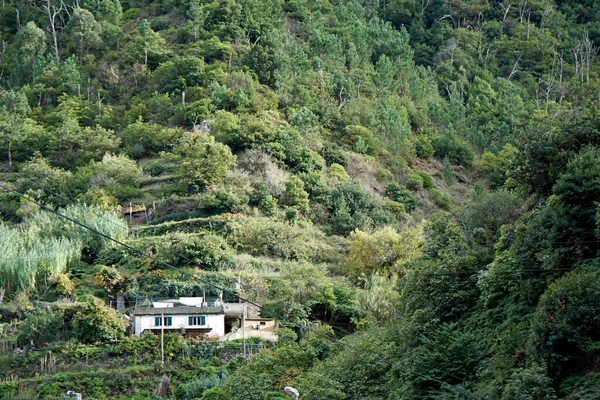 マデイラの山にある小さな集落です — ストック写真