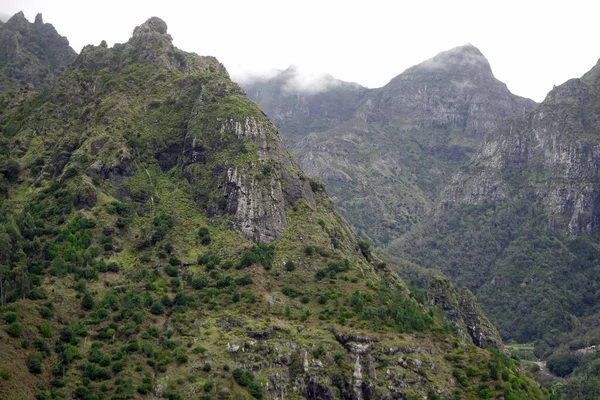 Nevoeiro Nas Montanhas Verdes Ilha Madeira — Fotografia de Stock