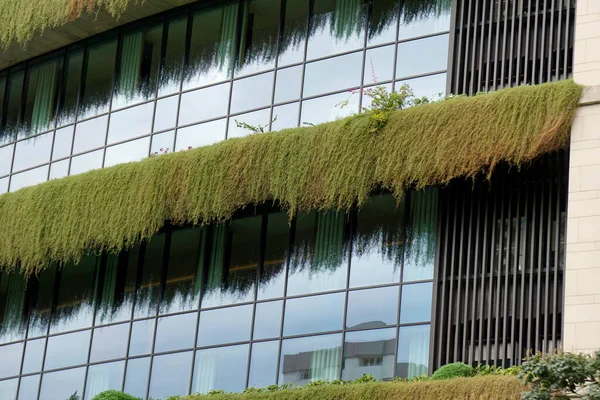 Климатически Чистое Офисное Здание Острове Мадейра — стоковое фото