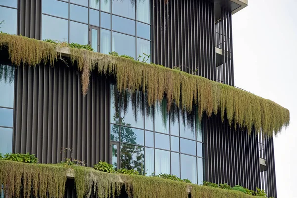 Климатически Чистое Офисное Здание Острове Мадейра — стоковое фото