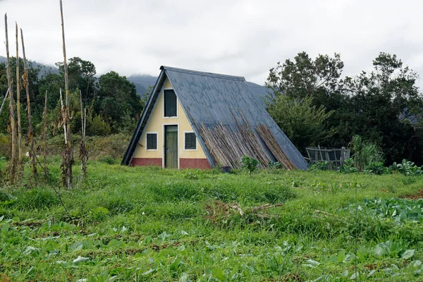 Santana Madeira Portugal Alrededor Octubre 2022 Casas Tradicionales Granjeros Triangulares —  Fotos de Stock