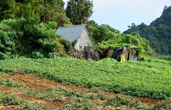 Santana Madeira Portugal Ekim 2022 Geleneksel Üçgen Çiftçi Evleri — Stok fotoğraf
