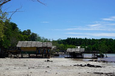 Palawan 'da, Filipinler' de, Puerto Princesa 'da el değmemiş bir plaj.