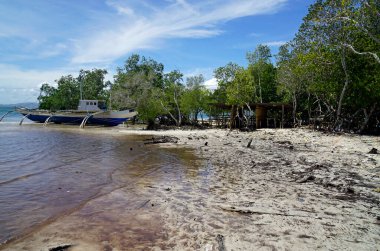 Palawan 'da, Filipinler' de, Puerto Princesa 'da el değmemiş bir plaj.