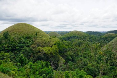 Filipinlerdeki bohol 'un çikolata tepeleri sonbaharda koyu kahverengiye döner. 